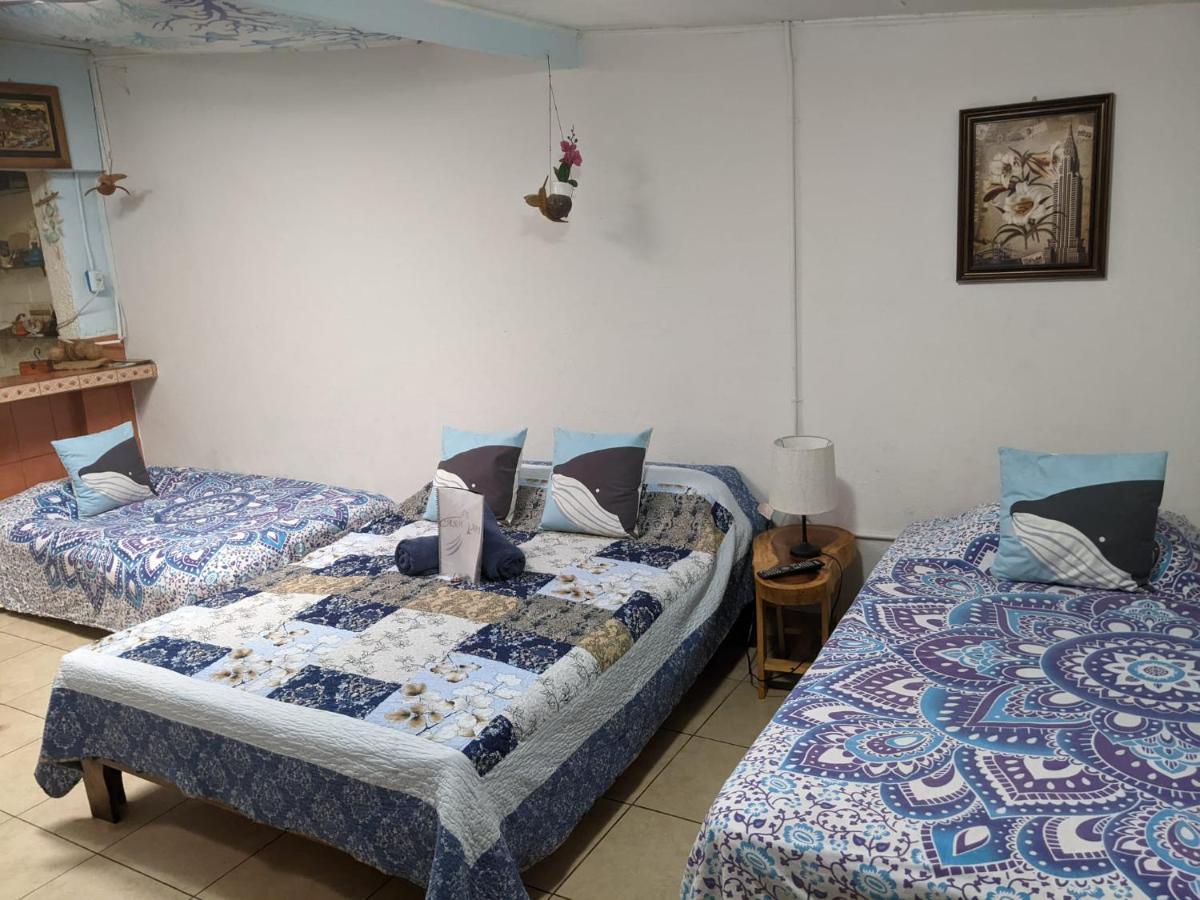 Guesthouse Casa Lapa2 Alajuela Extérieur photo